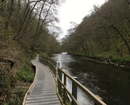 Cenarth Boardwalk