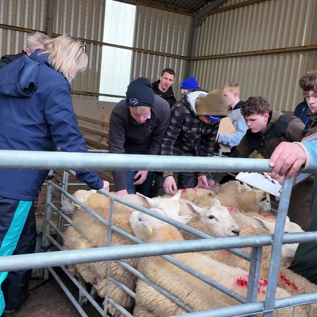 A taste of the upcoming vocational courses in Lampeter