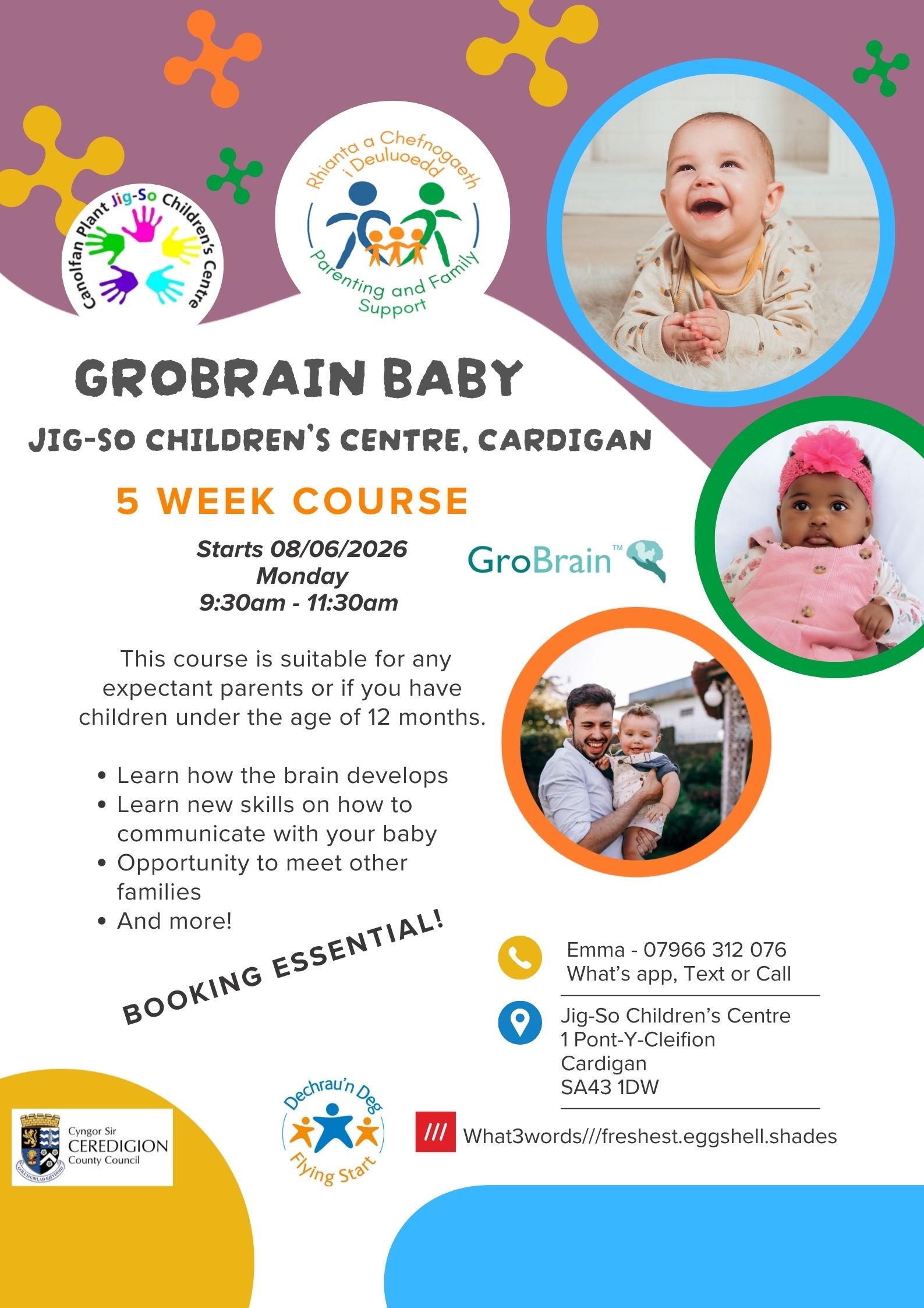 GroBrain Baby 