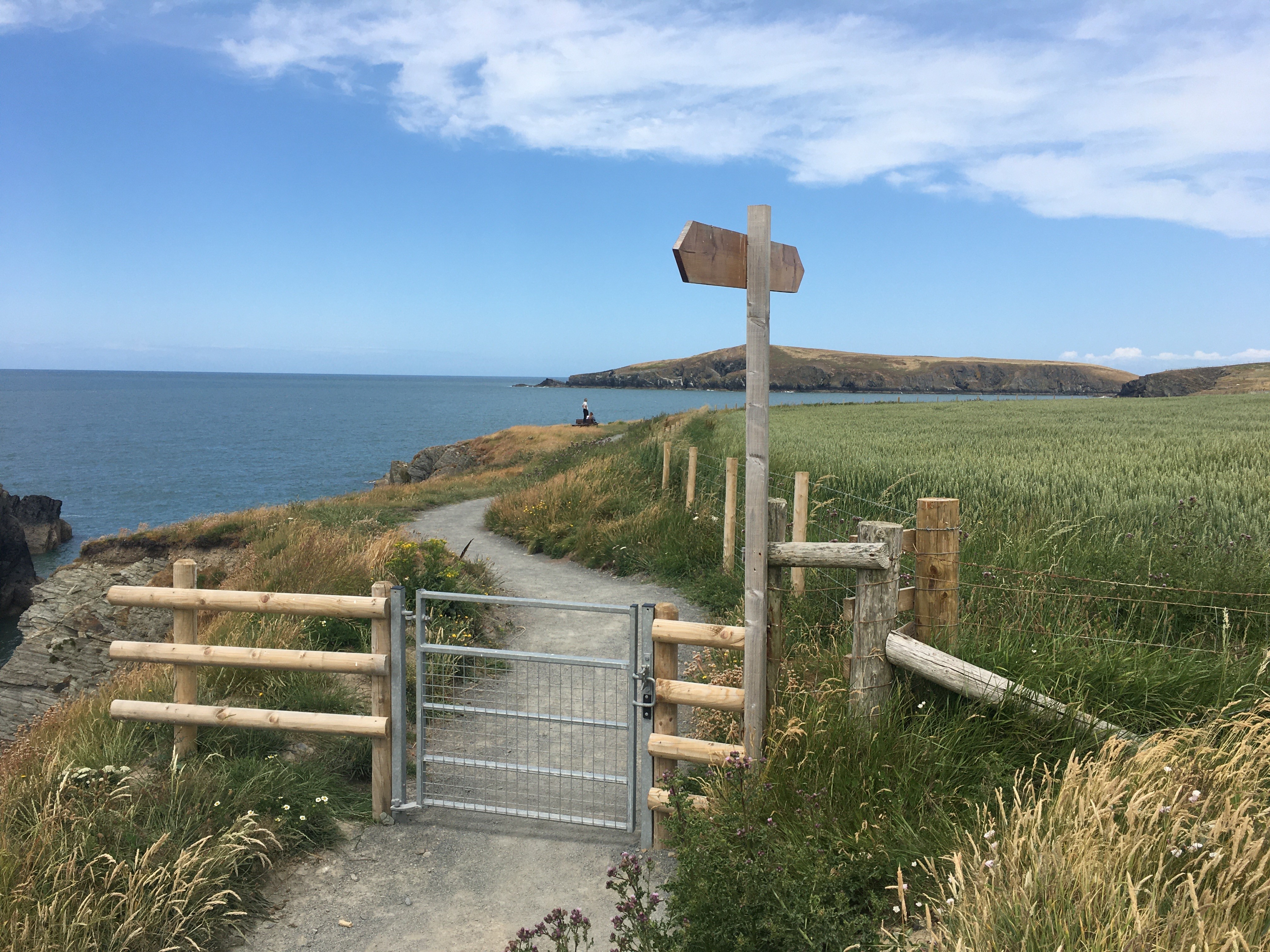 Llwybr y Clogwyn Gwbert