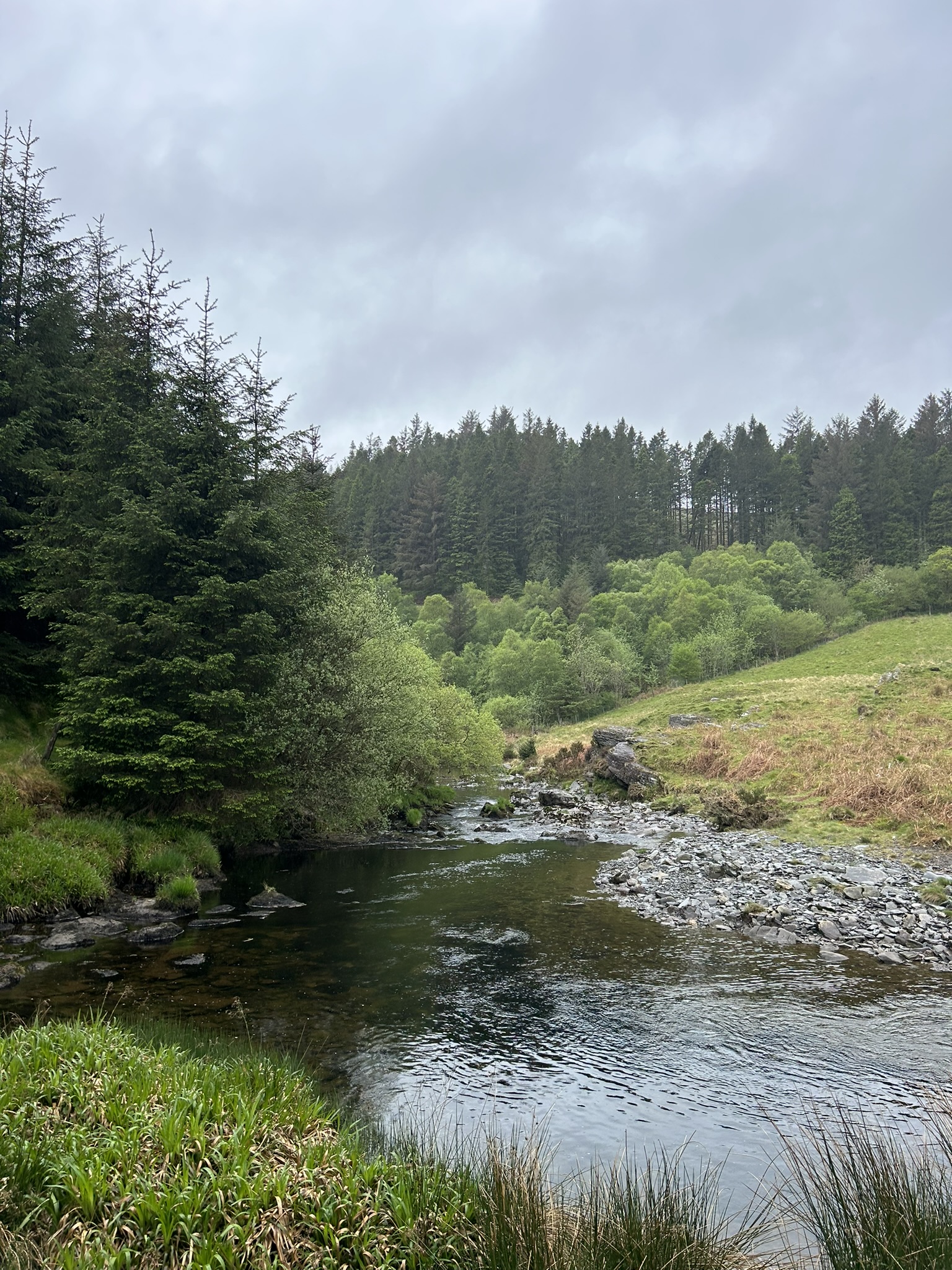 Devils Bridge Mynach Valley Circular Walk