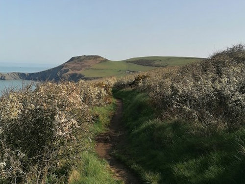 Penbryn - Llangrannog