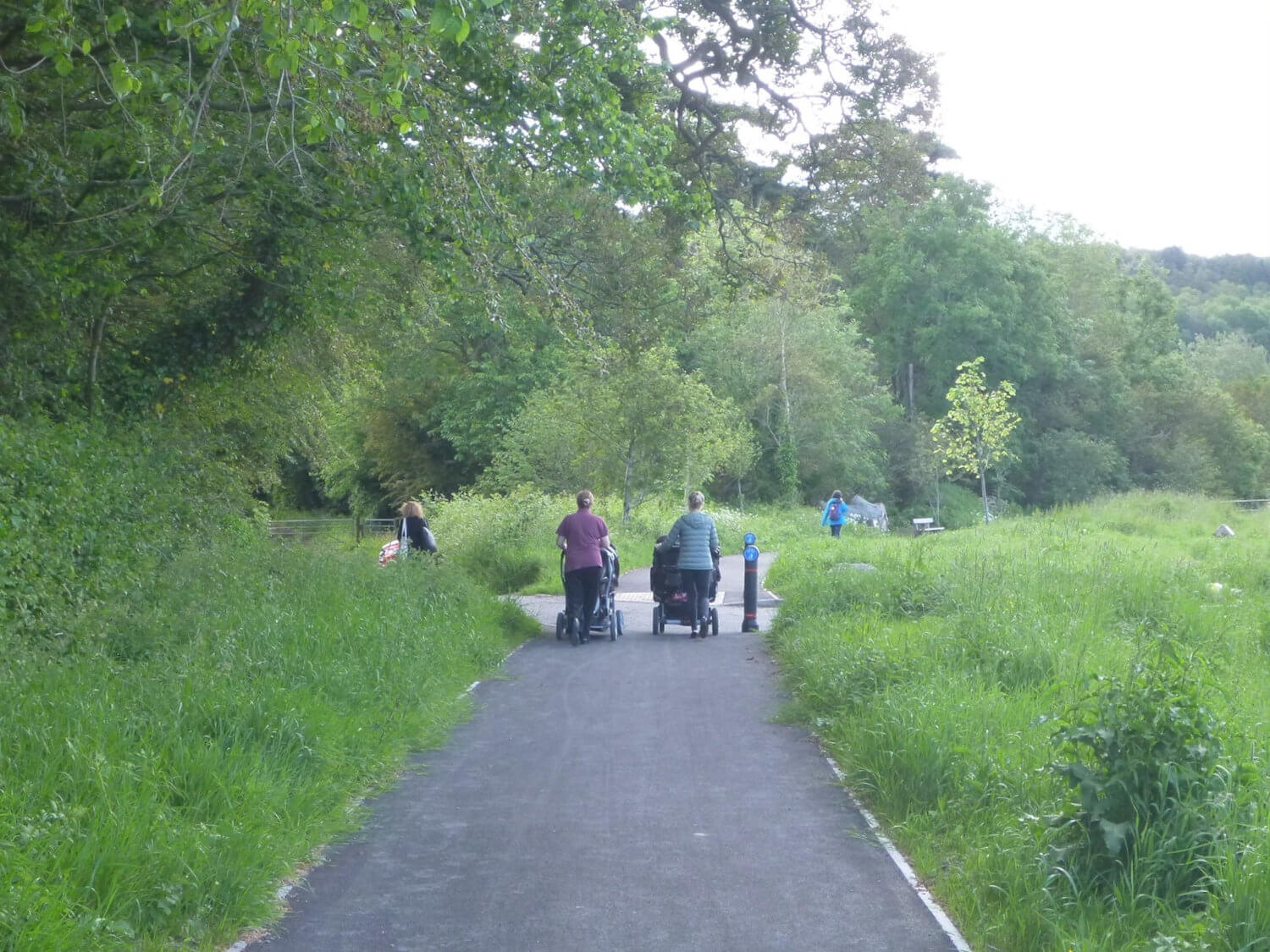 Bow Street to IBERS shared use path in use