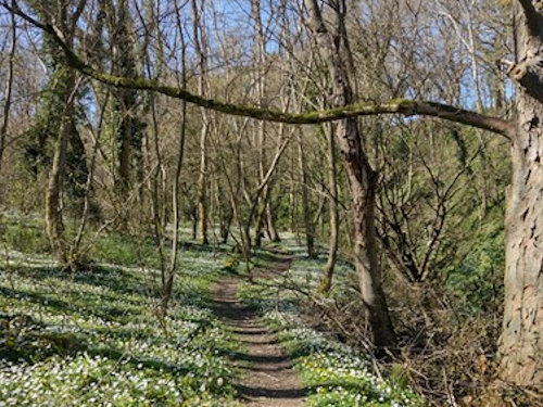 Blaenplwyf - Llanfarian
