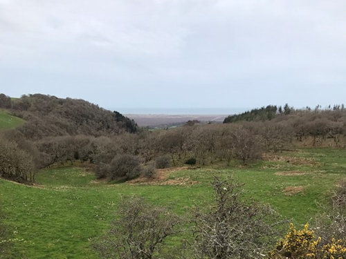 Tre Taliesin - Furnace