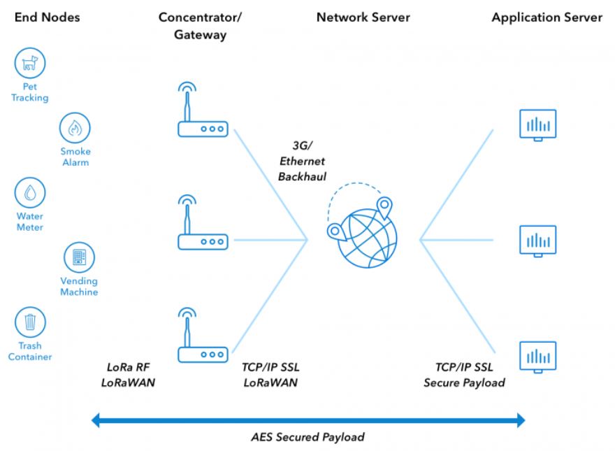 LoRaWAN display