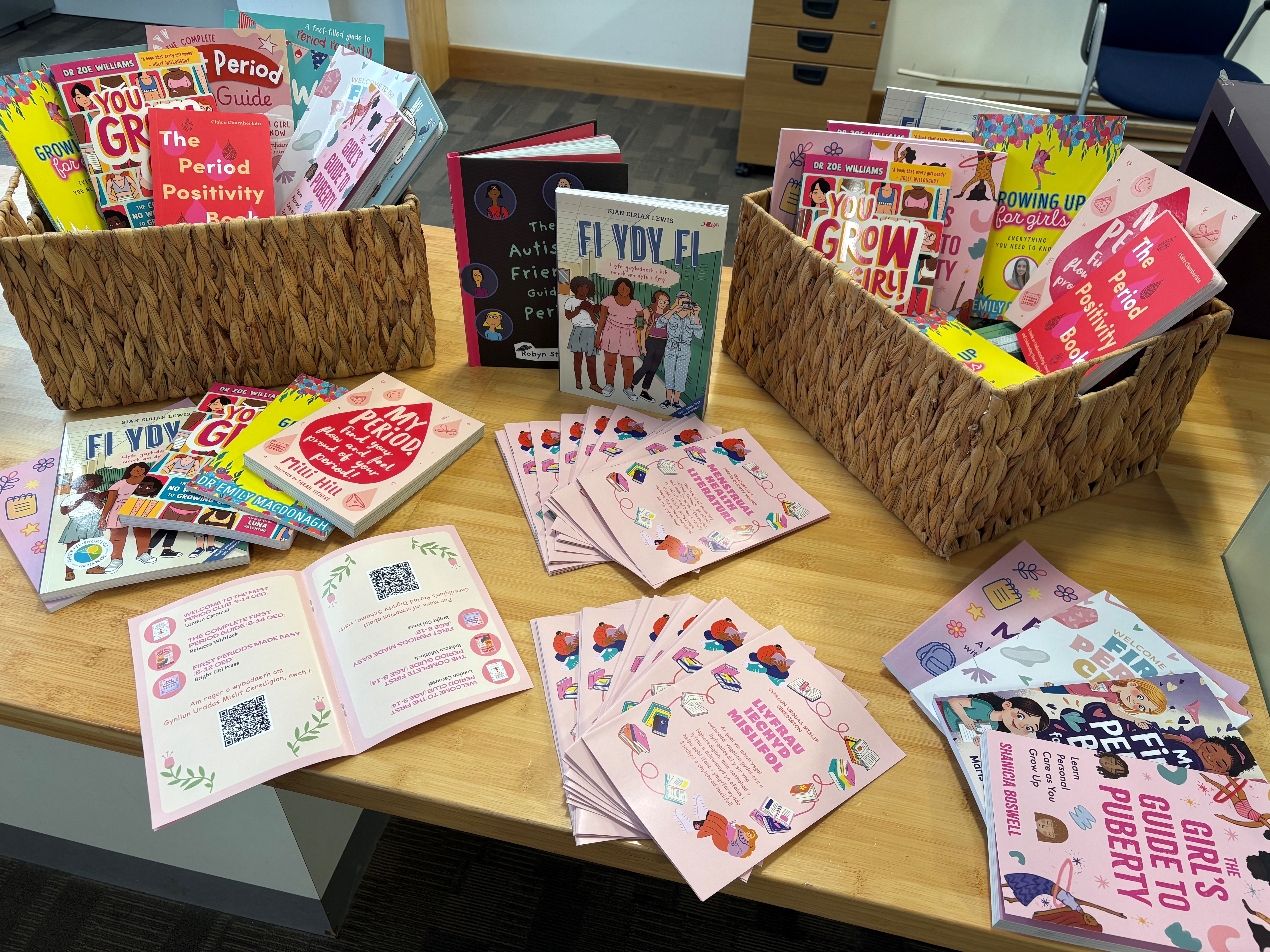 Ceredigion's Menstrual Health Literature Scheme for schools and town libraries