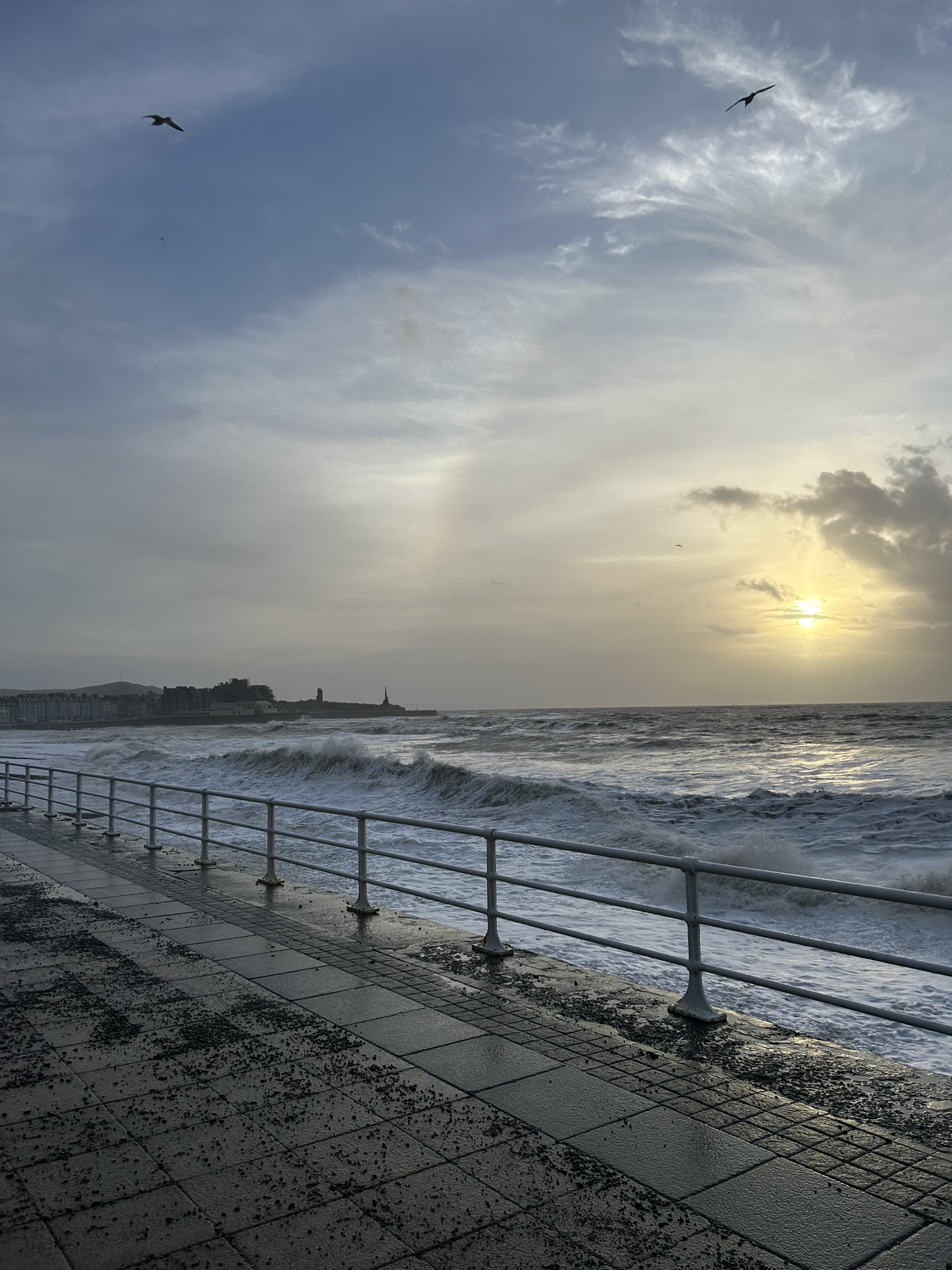 Capel Bangor Rheidol Trail 